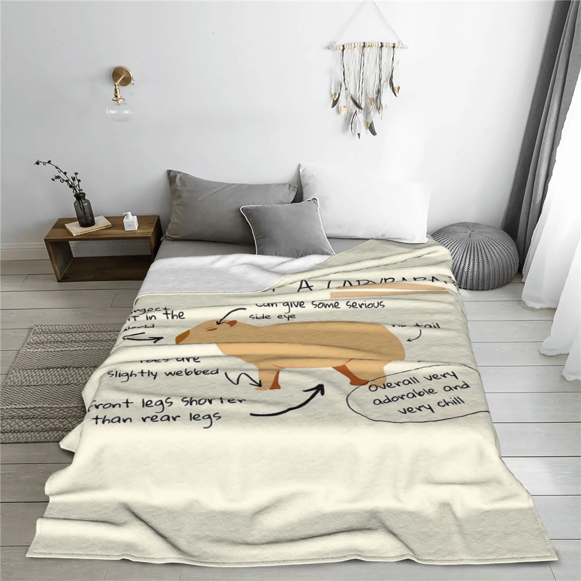 Anatomy of a Capybara Blanket Warm Flannel Sofa Throw Blanket for Couch Bedding Travel Throws Bedspread Quilt