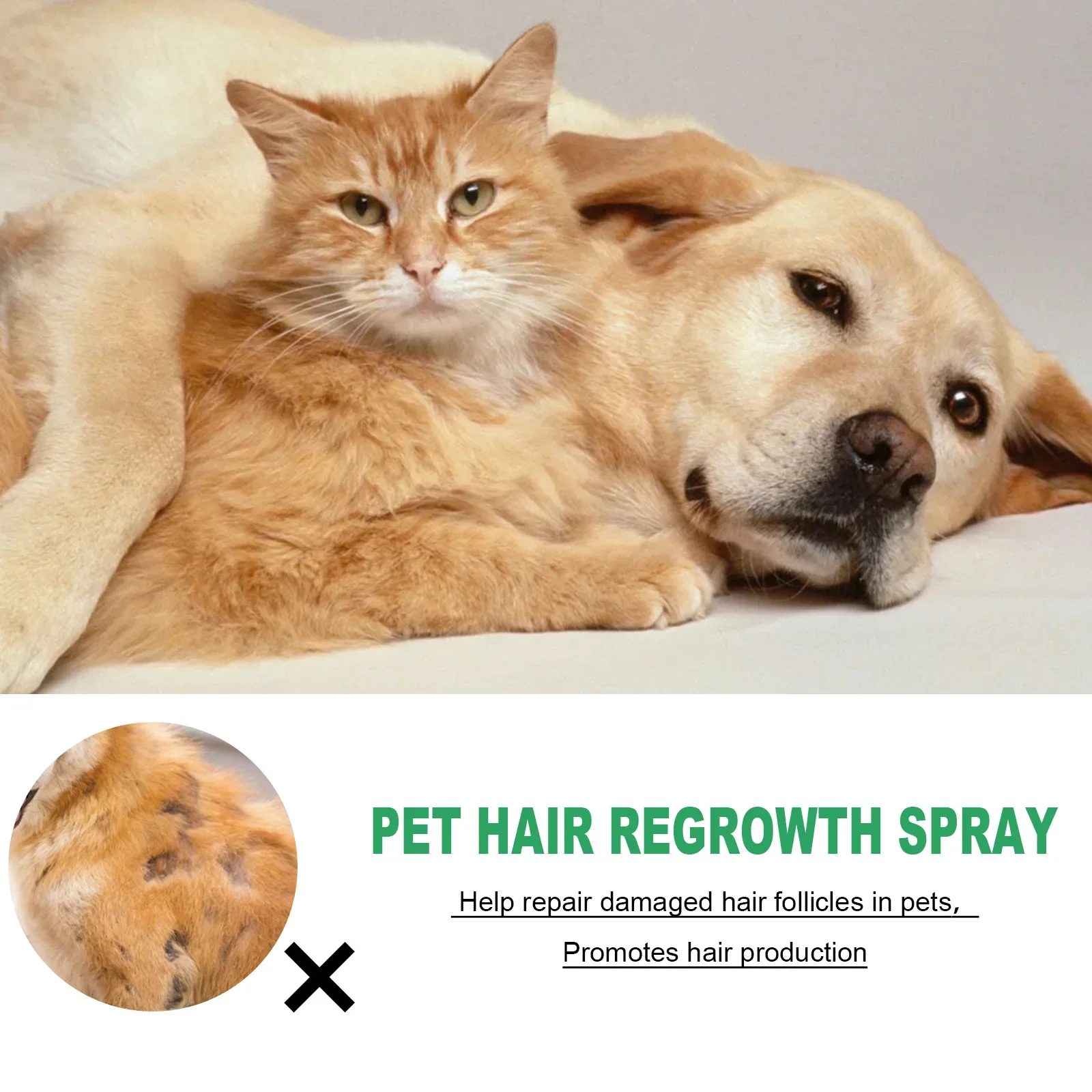 Pet Hair Enhancers, Cat and Dog Hair Conditioning, Repair Damaged Hair Follicles, Pet Grooming Products