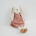 Pink dress rabbit