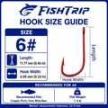 Size6