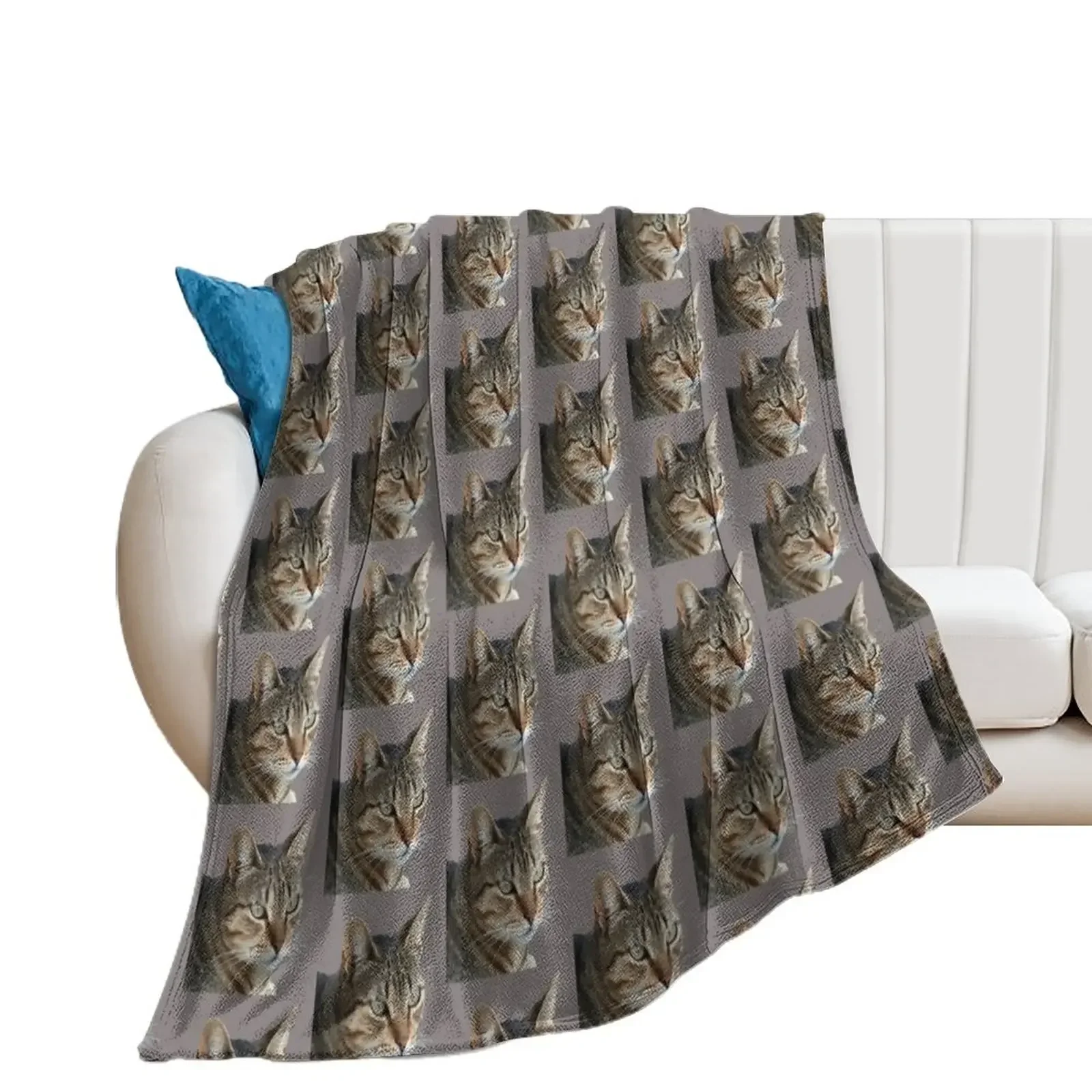 Stunning Tabby Cat Close Up Portrait Vector Isolated Throw Blanket Furrys Loose Blankets