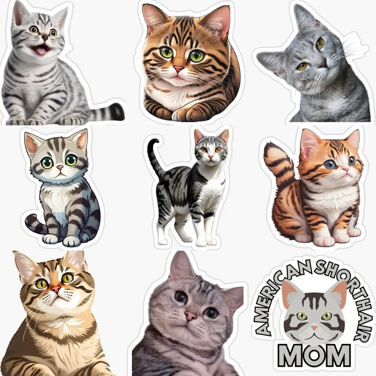 

Creative Cute Cat American Shorthair Pets PVC Stickers for Decorate Window Fridge Wall Door Car Van Helmet Decal