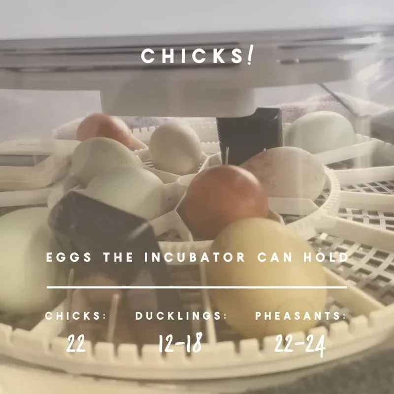 Nurture Right Egg Incubator for Hatching Chicks Holds 22 Eggs Automatic Egg Turner with Temperature and Humidity Control