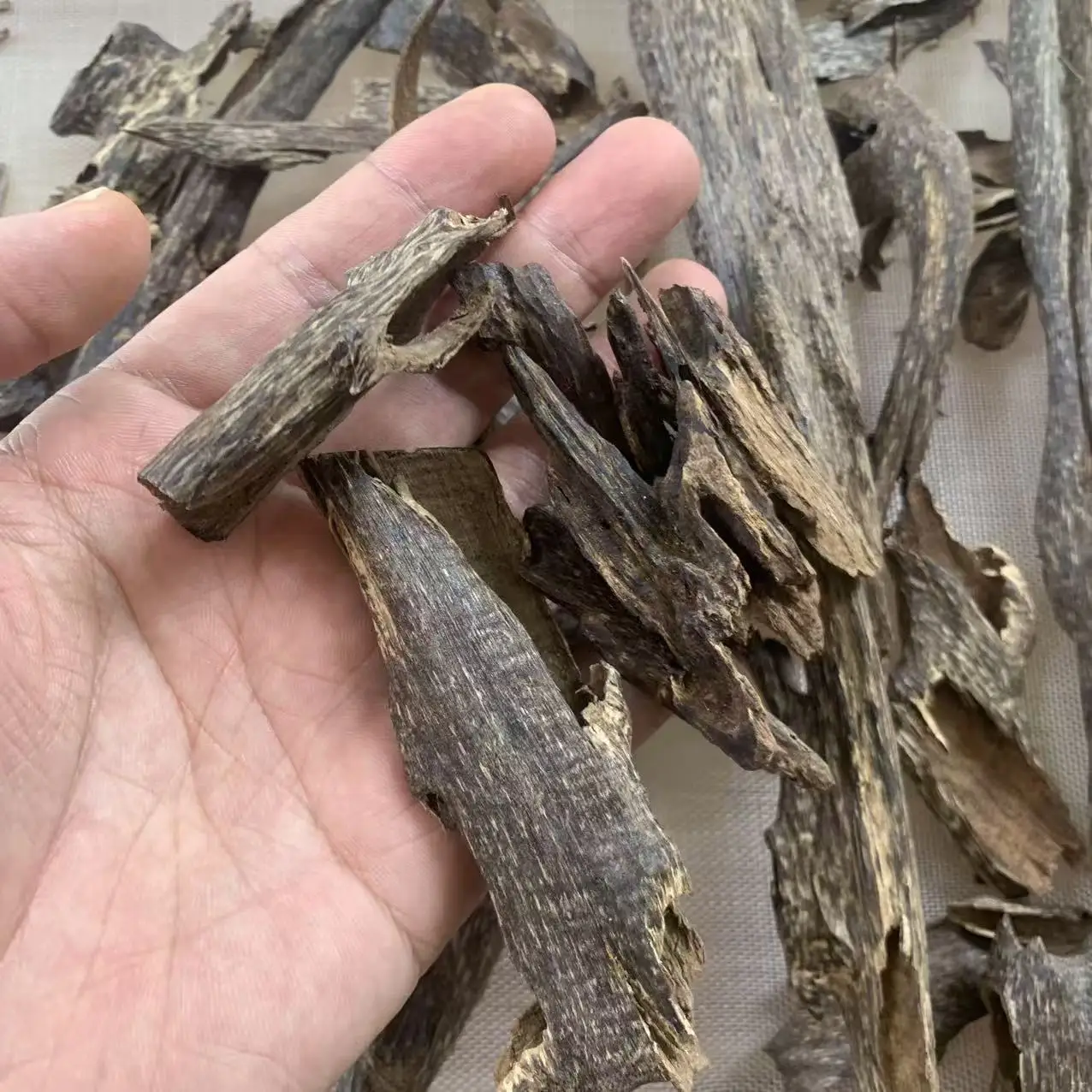 المحافظ الكمبودي النمل العود الكمبودي العربي عود بخور رائحة حلوة للغاية عند حرق