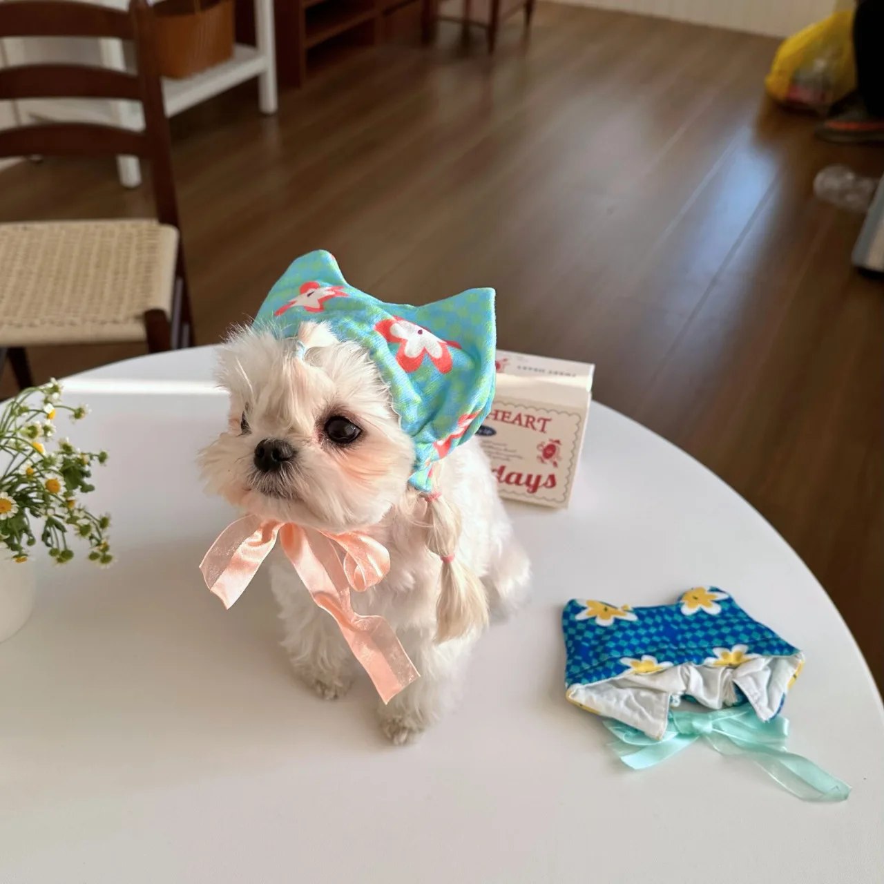 Pet Cat Ear Cute Headscarf Hat Costume Props Cute and Funny Headscarf Pet Strap Hat Dog Items  Dog Accessories for Small Dogs