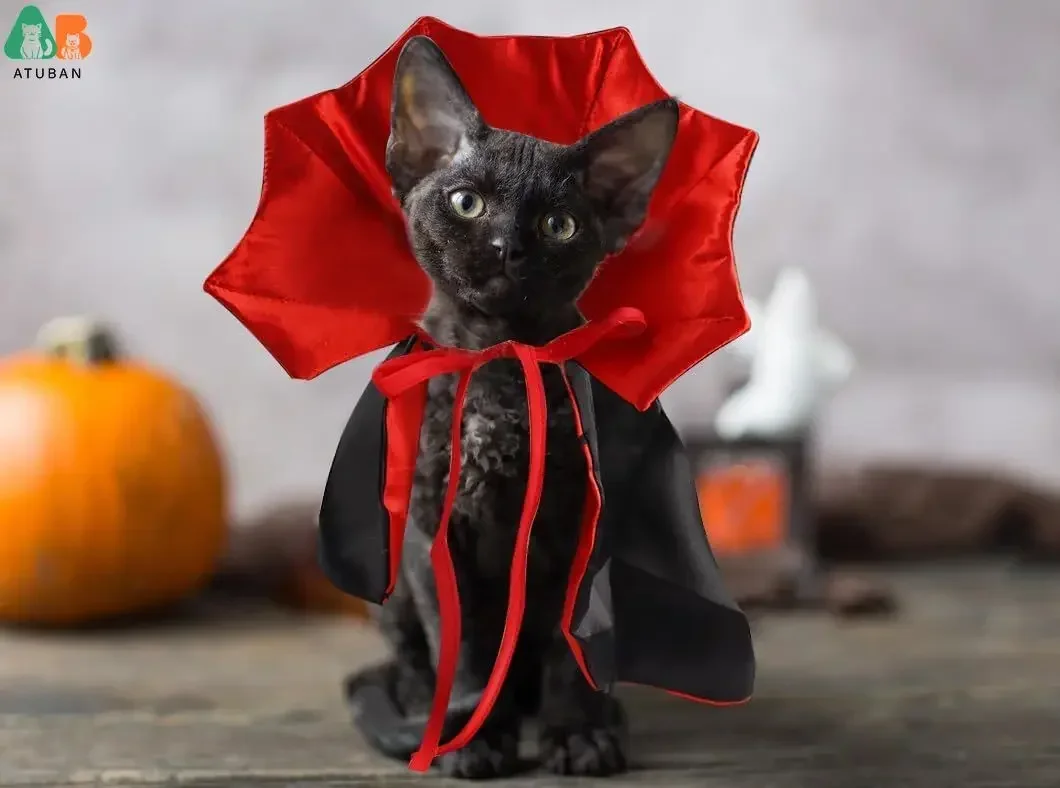 Halloween Cat Vampire Cloak Costume Halloween Adjustable Pet Cape Costume Clothes,Pet Accessories Costume Outfit Decor Cowl