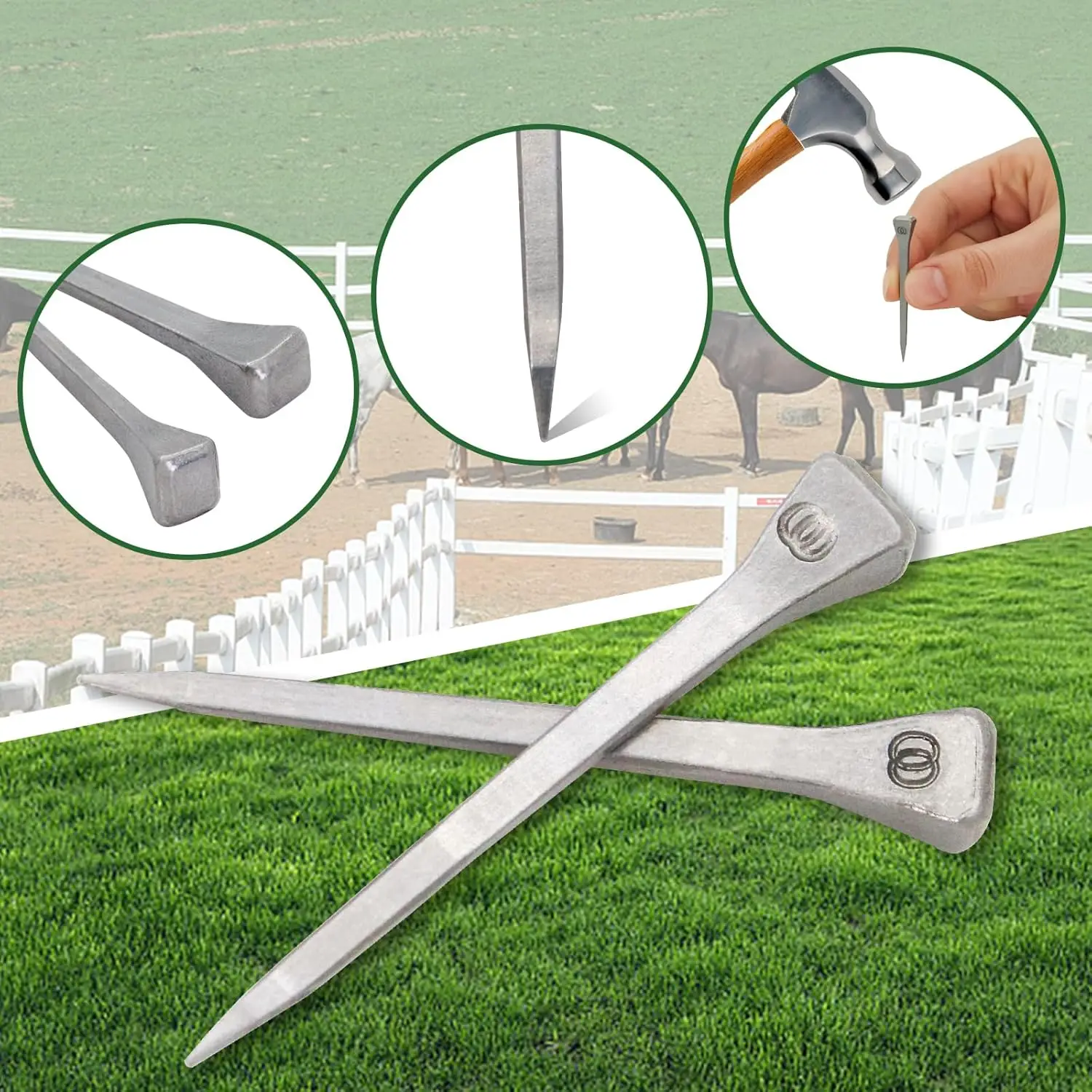 E2-E6 الحصان حذاء الأظافر الحصان التدريب الفروسية تسخير إصلاح حافر الأظافر النخيل ركوب الخيل لوازم معدات الفروسية