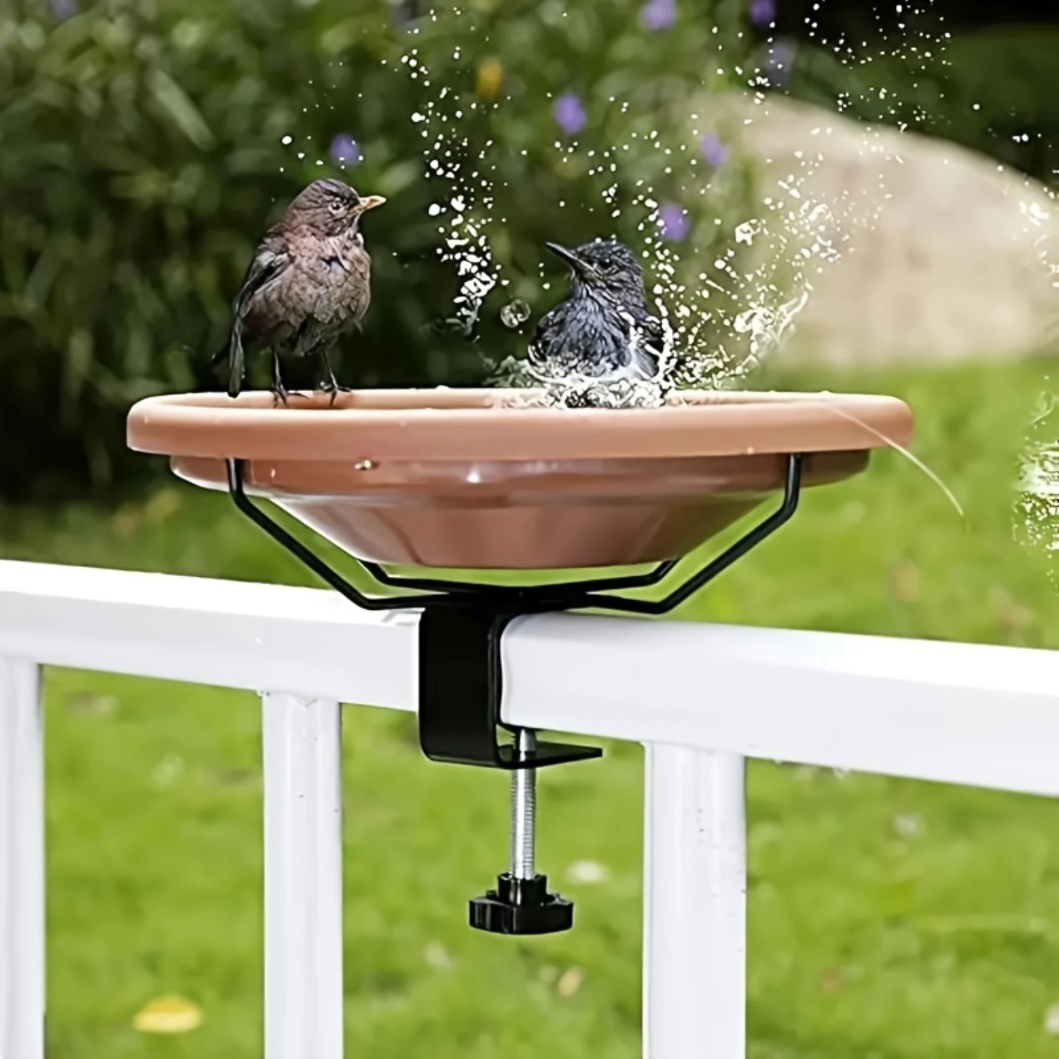 Filles de bain et mangeoire avec pince réglable, balustrade de balcon et de jardin, bassin d'oiseaux à usage touristique pour se baigner et se nourrir, fer