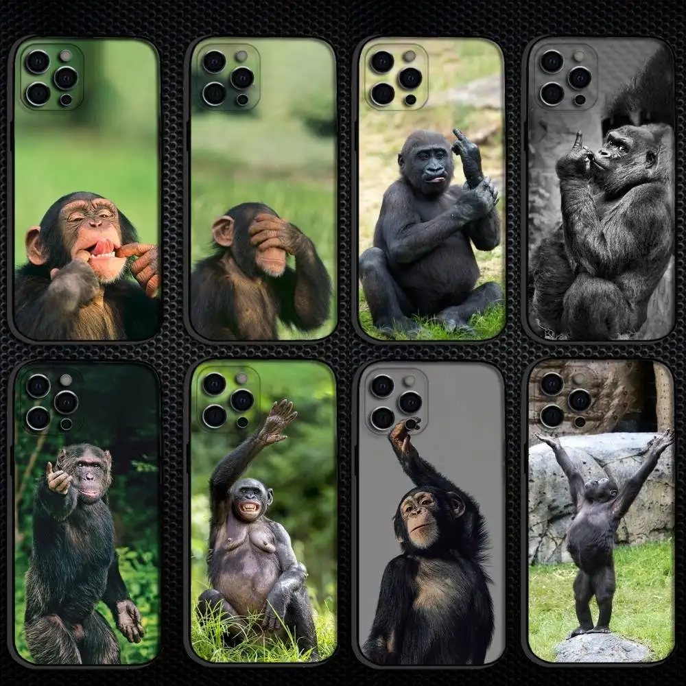 

Monkey Gorilla Orangutan Funny Phone Case For iPhone 16,15,14,13,12,11 Plus,Pro Max, Soft Silicone Black Cover