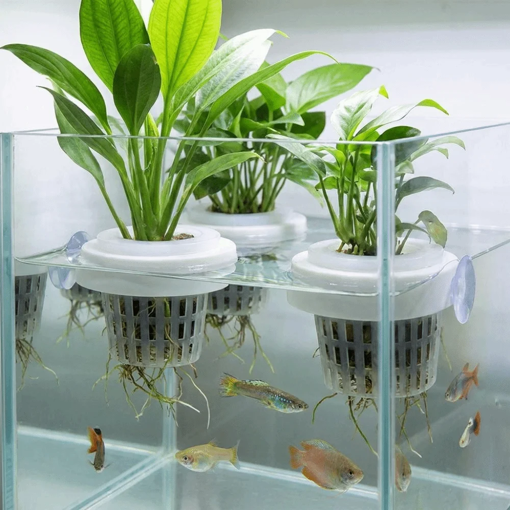 Plastic Floating Aquatic Plant Basket Round Root Protection Hydroponic Planting Basket Suction Cup Hydroponic Plant Holder