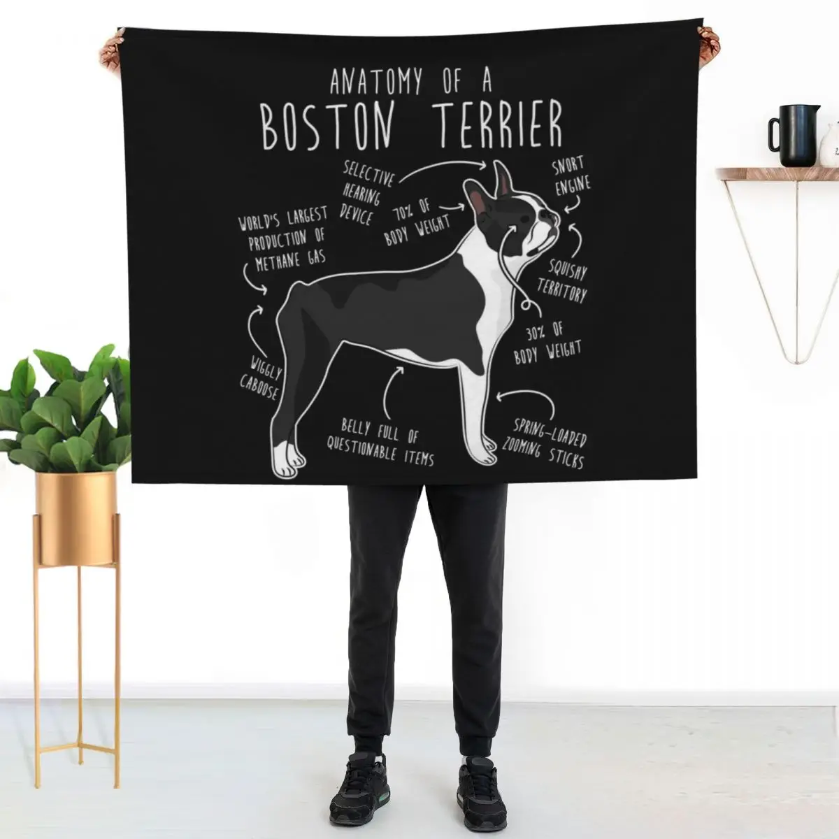 Boston Terrier Dog Anatomy Throw Blanket Sofa Throw Designers Soft Big Beautifuls funny gift valentine gift ideas Blankets