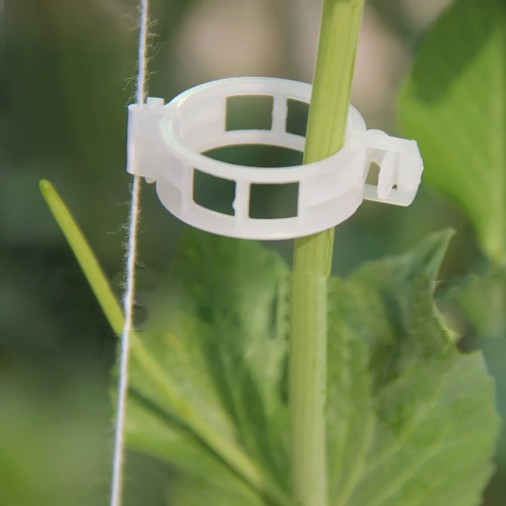 

100 Pcs Plant Clips Vine Management Fixing Gardening Grape Vines Support Control White