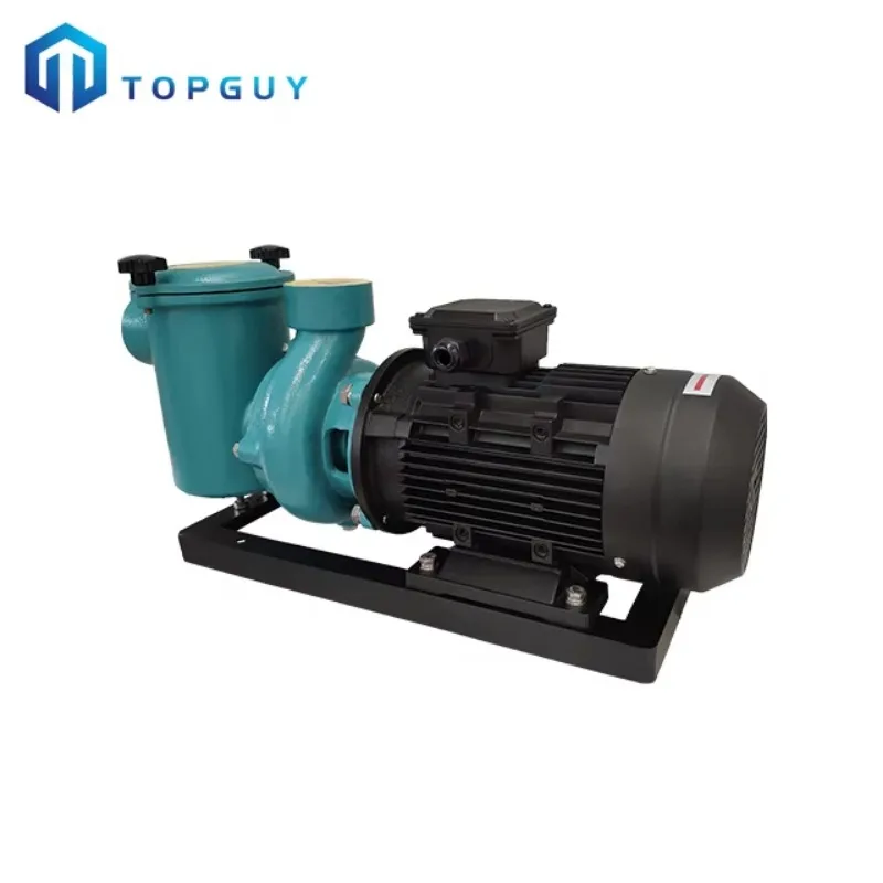 CCPB 380V 3.0HorsePowerLong-Life Iron Pump For Swimming Pools Saunas & Aquariums Effective Pool Filter