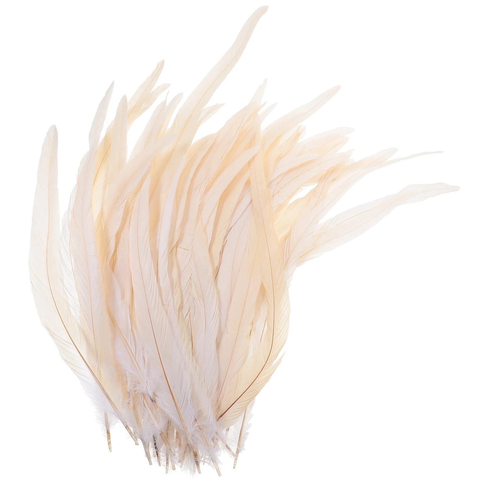 

50 pcs 40Cm Natural Rooster Tail White Premium Pasteurized Waterproof For Diy Craft Hat Decoration Clothing Shoes Bag
