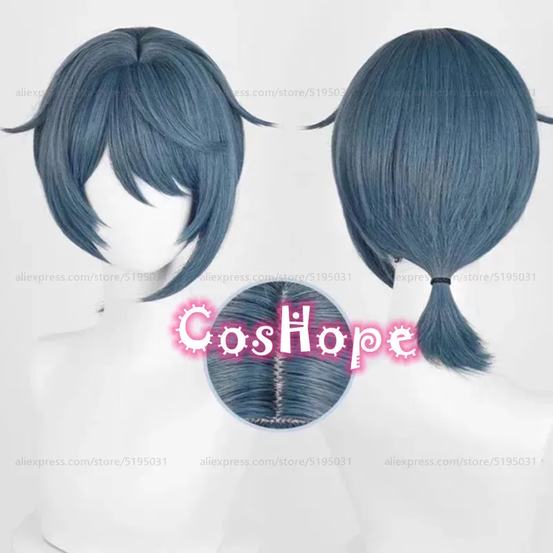 

Lantern Rite Cosplay Xingqiu Wig 30cm Short Blue Gray Wig Cosplay Anime Cosplay Wigs Heat Resistant Synthetic Wigs