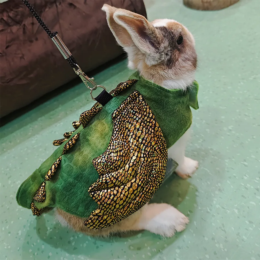 Adjustable Dragon Costume with Leash 2
