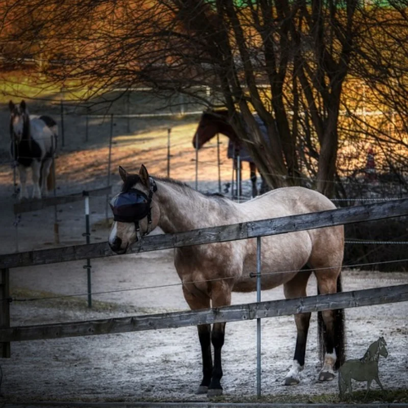 

Металлическое обновление, поворотный рычаг, рулевая чашка, комплект уязвимых деталей, для модели MN 1/16 MN38 RC Автозапчасти