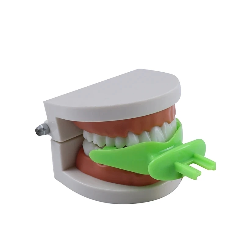 7 قطعة/المجموعة BPS صواني الانطباع المركزية للأسنان دغة تسجيل طقم أسنان إصلاح الإطباق سجل مفصلية Facebow زرع #4