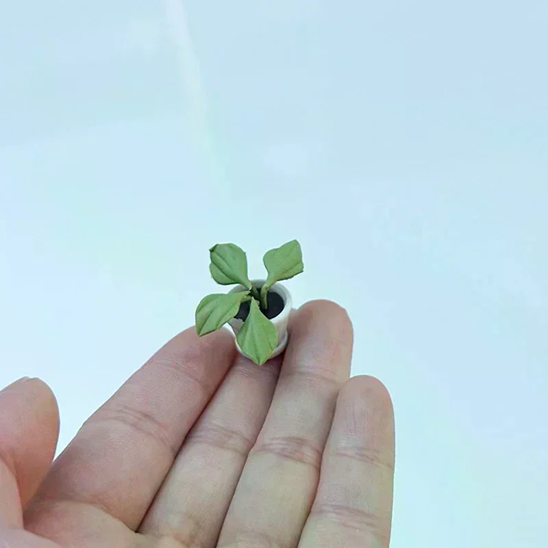 2PCS 1:12 인형 집 미니어처 식물 작은 꽃 냄비 모델 가구 액세서리 인형 집 장식 어린이 놀이 장난감
