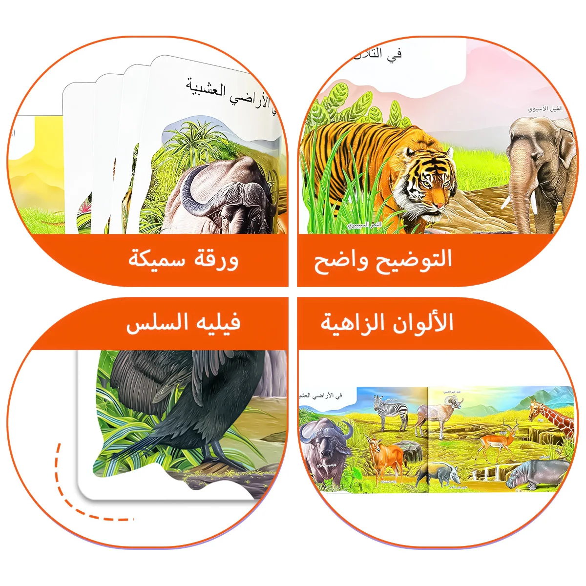 كتاب مصور تعلم معرفي للحيوانات العربية للأطفال على حيوانات الأراضي والديناصورات #3