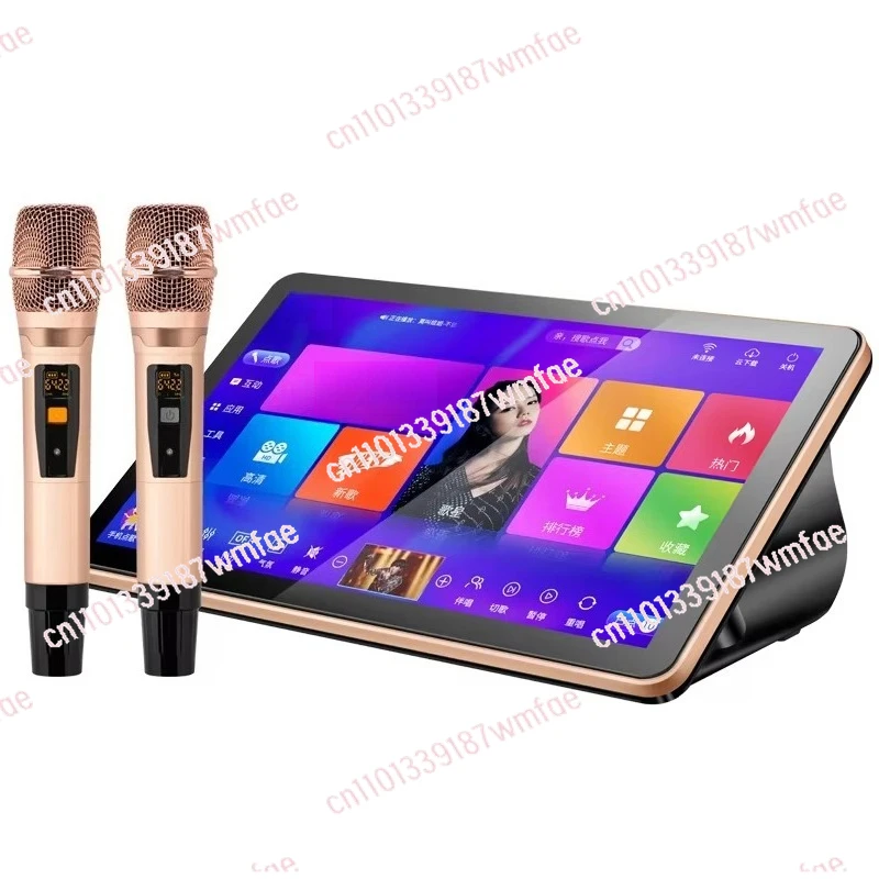 

KTV 18,5-дюймовый караоке-плеер с сенсорным экраном Wi-Fi профессиональная караоке-машина с беспроводным микрофоном портативный