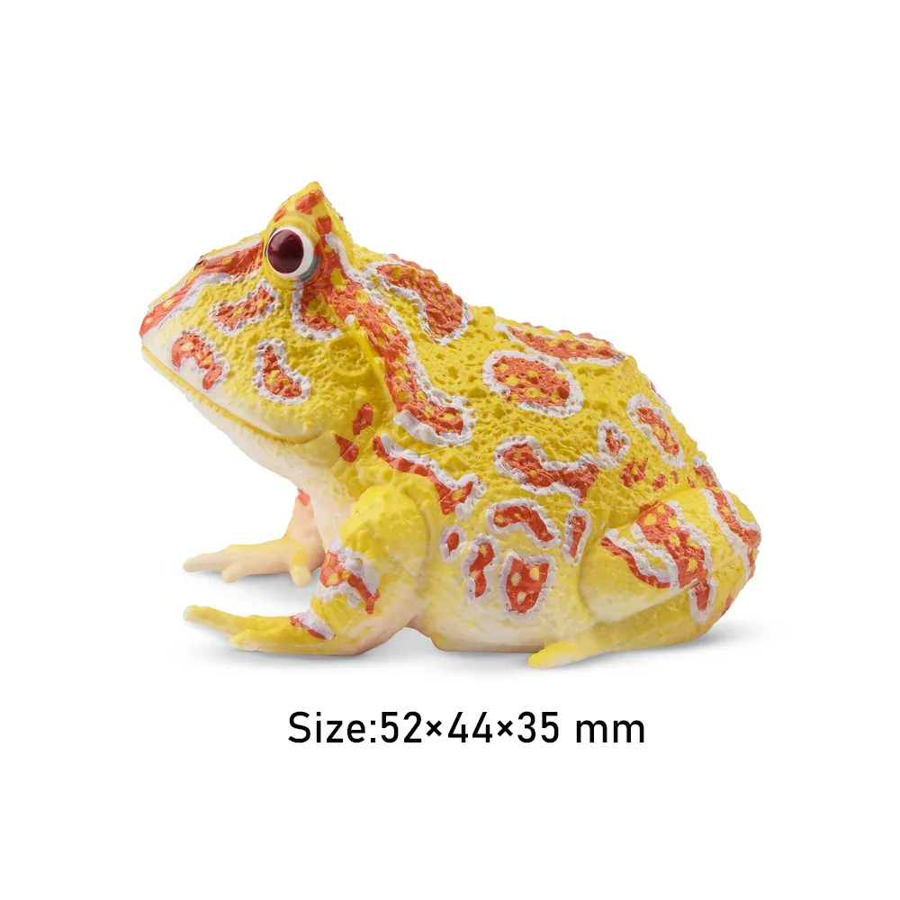 Toymany Simulation  Argentine Horned Frog Reptile Realm Animal Model Toy Mini Figures Dolls Action Figurines Toys Children Gift