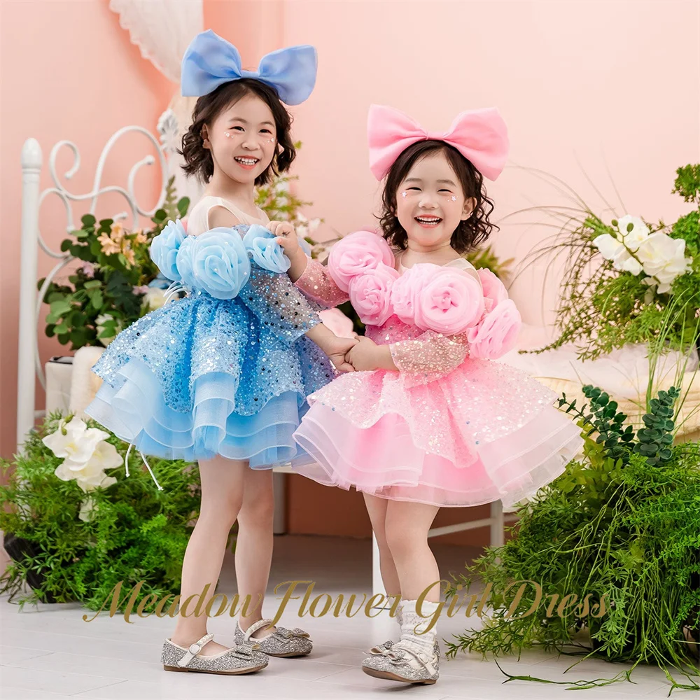 Meadow Ice Blue Princess Girls Dress Round Neck Off Shoulder First Communion Gown with 3D Rose Children Birthday Wedding Dresses