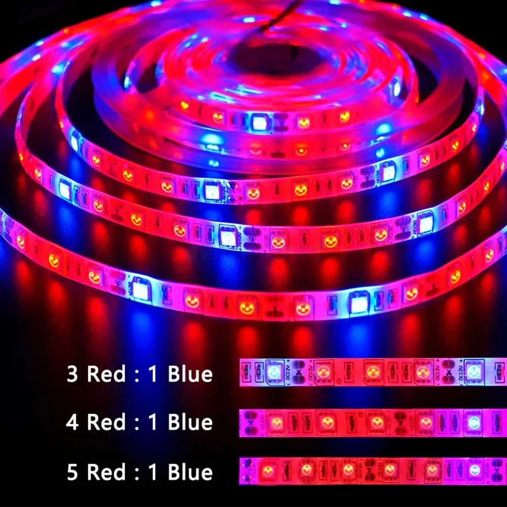 luz-led-de-crescimento-de-5m-com-espectro-completo-fitolampada-led-em-fita-dc-12v-smd-5050-fita-led-flexivel-para-cultivo-de-plantas-para-flores-hidroponia-e-estufas
