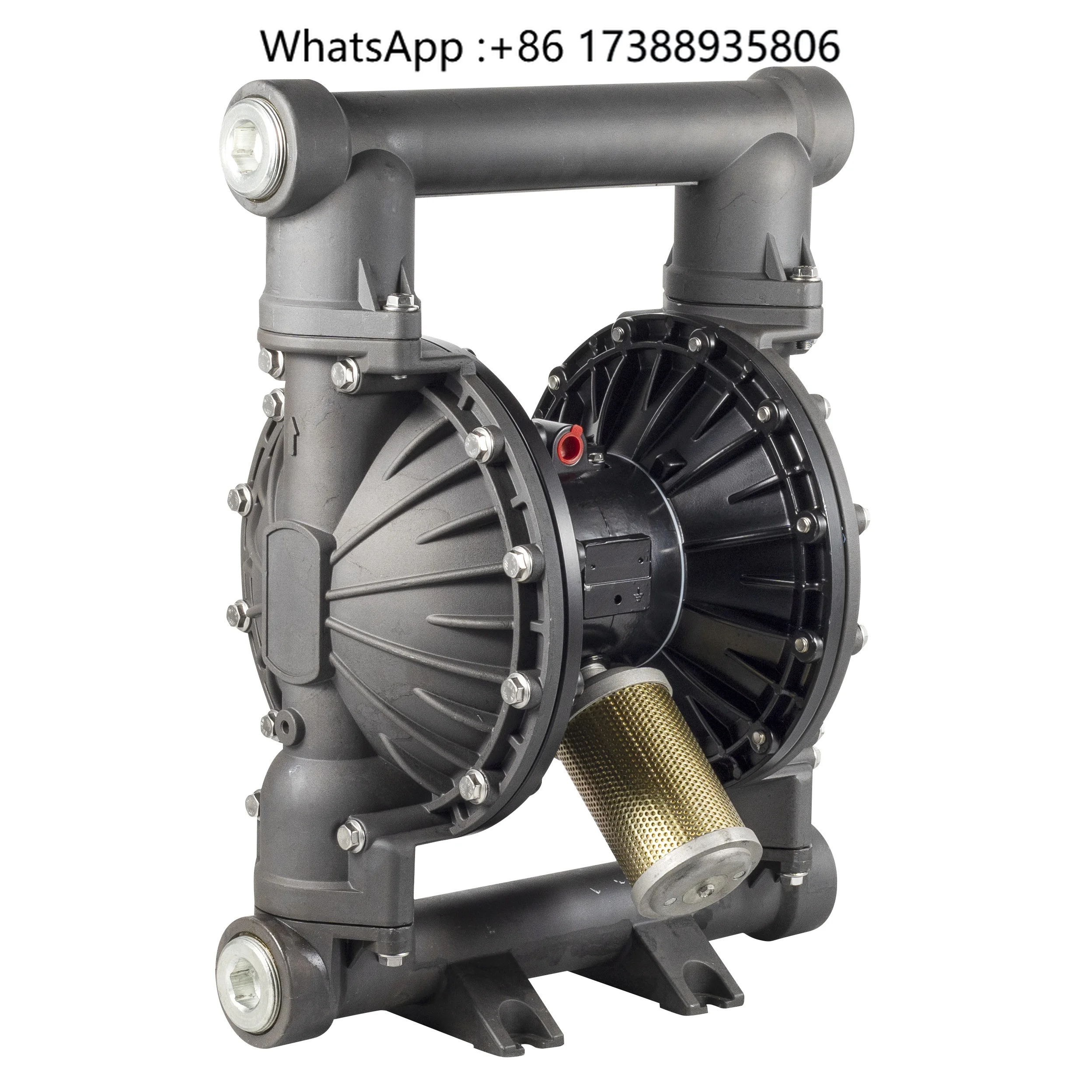 Aluminum High Pressure Large Flow Diaphragm Pump in China for Sale