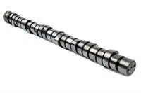 

Store code: es57003 for the camshaft FH12-NH12/MAGNUM DXI12/MAGNUM DXI12 (EPG)