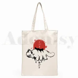 Avatar The Last Airbender Aang Appa Anime Badass New Art Canvas Bag Totes Simple Print Shopping Bags Girls Life Casual Pacakge