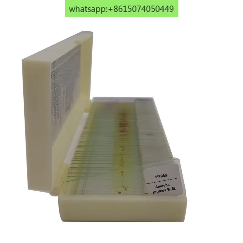 50Pcs Prepared Microscope Parasitology Slides for Educational Teaching