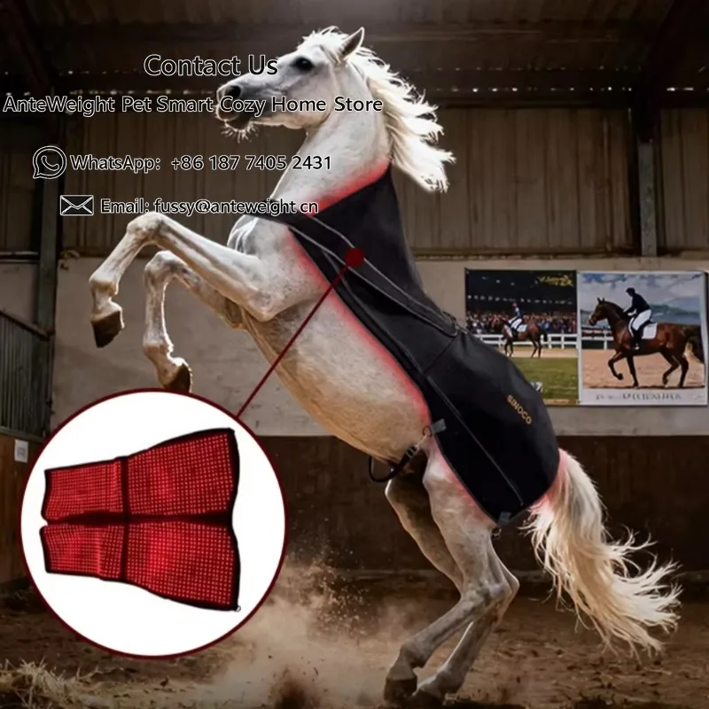 Equestrian Red Light Therapy Pad Horse Rug Equine Infrared Light Therapy Blanket Used for Back