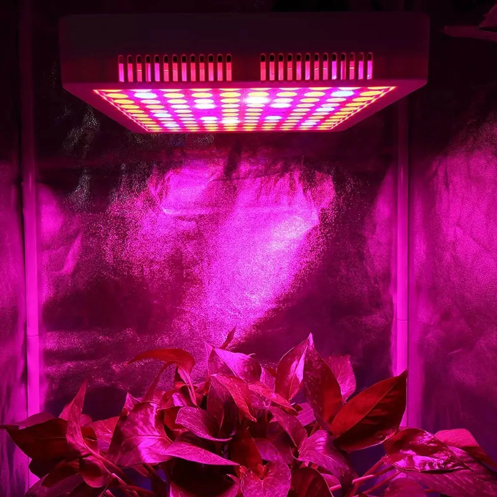 

Liweida Shenzhen Factory Led Коммерческий светильник для выращивания растений 300 Вт Полный спектр сельского хозяйства растений для внутреннего сада