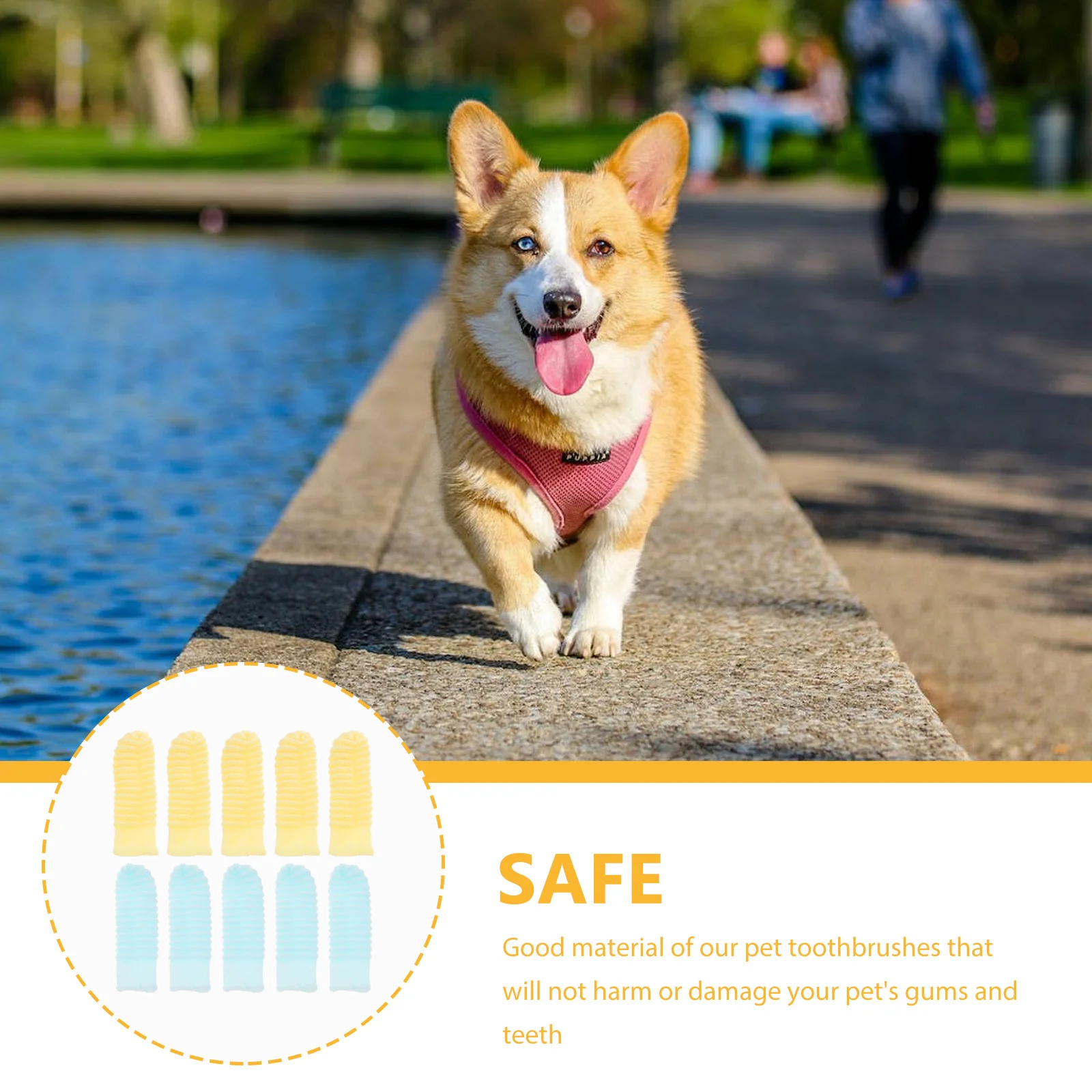 10 Pcs Small Dog Toothbrush and Pet Gloves Toothpaste Dogs Finger Cot Polyester Puppy for