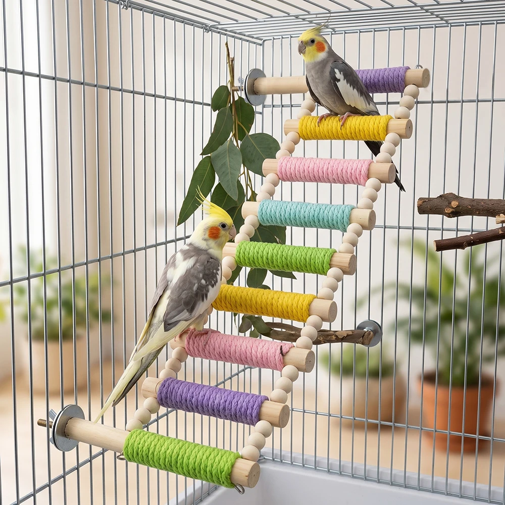 #40 Bird Cage Ladders Comparison Guide