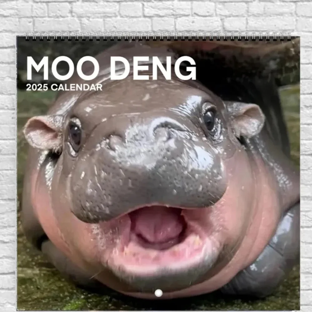 Kalendarz Moo Deng Kreatywny kalendarz ścienny z kreskówek Hippo Śliczny kalendarz biurkowy 2025 Hippo Dekoracja
