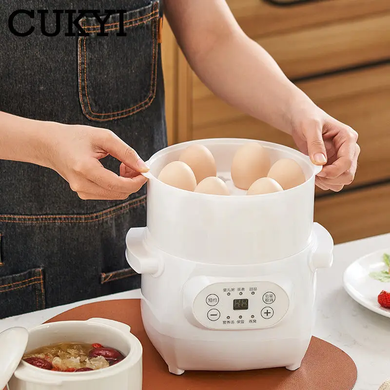 110V 220V Electric Stew Pot With Steamer 1L Ceramic Pot Multifunctional Slow Cooker Baby Porridge Birdnest Pregnant Tonic Simmer