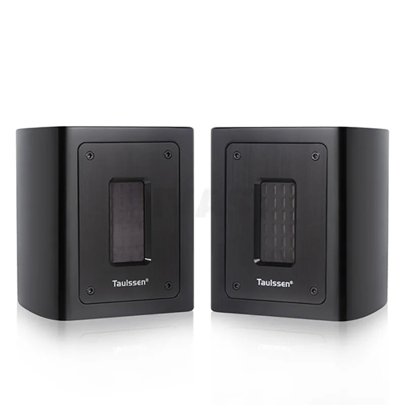 5 Ohm brandneuer Fever Independent Ribbon Super Hochtöner Externer Hochtöner Passiver Lautsprecher Soundbox 30 W Verlängerung