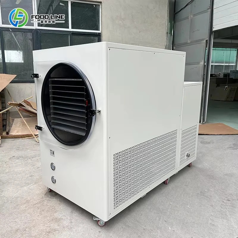 Household Freeze Dryer Machine Food Grade Material Safe Fruit Vegetable Meat Drying Device Support Customized