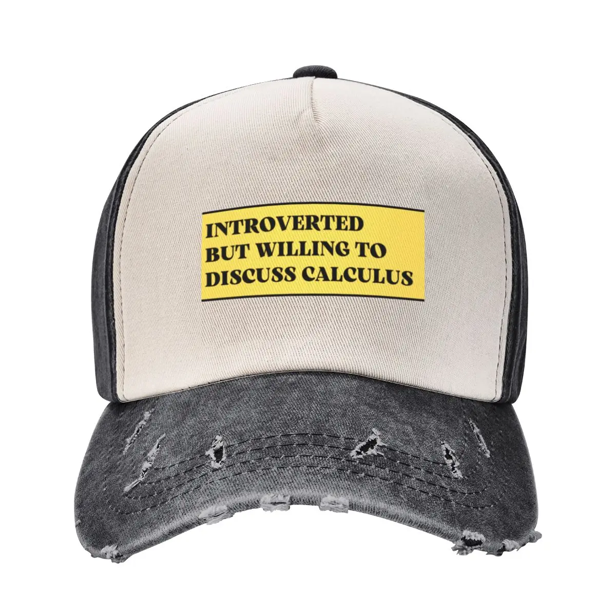 introverted but willing to discuss calculus Baseball Cap Trucker Hat Hat Man For The Sun Man Women's