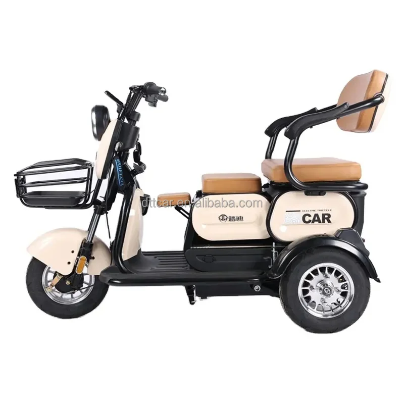 Wholesale Cargo Ebike 3 Wheels 600/800/1000 Watts Electric Bike Electric Tricycle For Adults