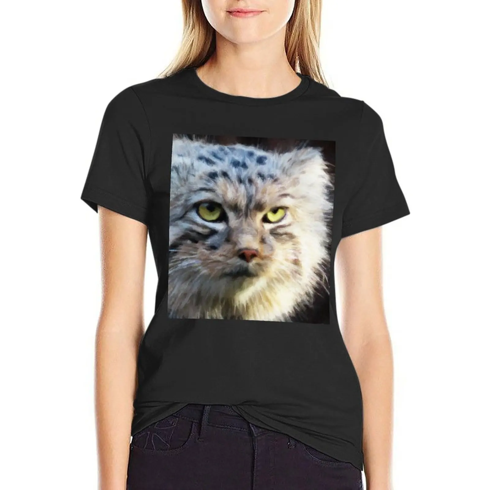 

A Pallas's cat (manul) T-Shirt Aesthetic clothing summer clothes cute tops t shirts for Womens