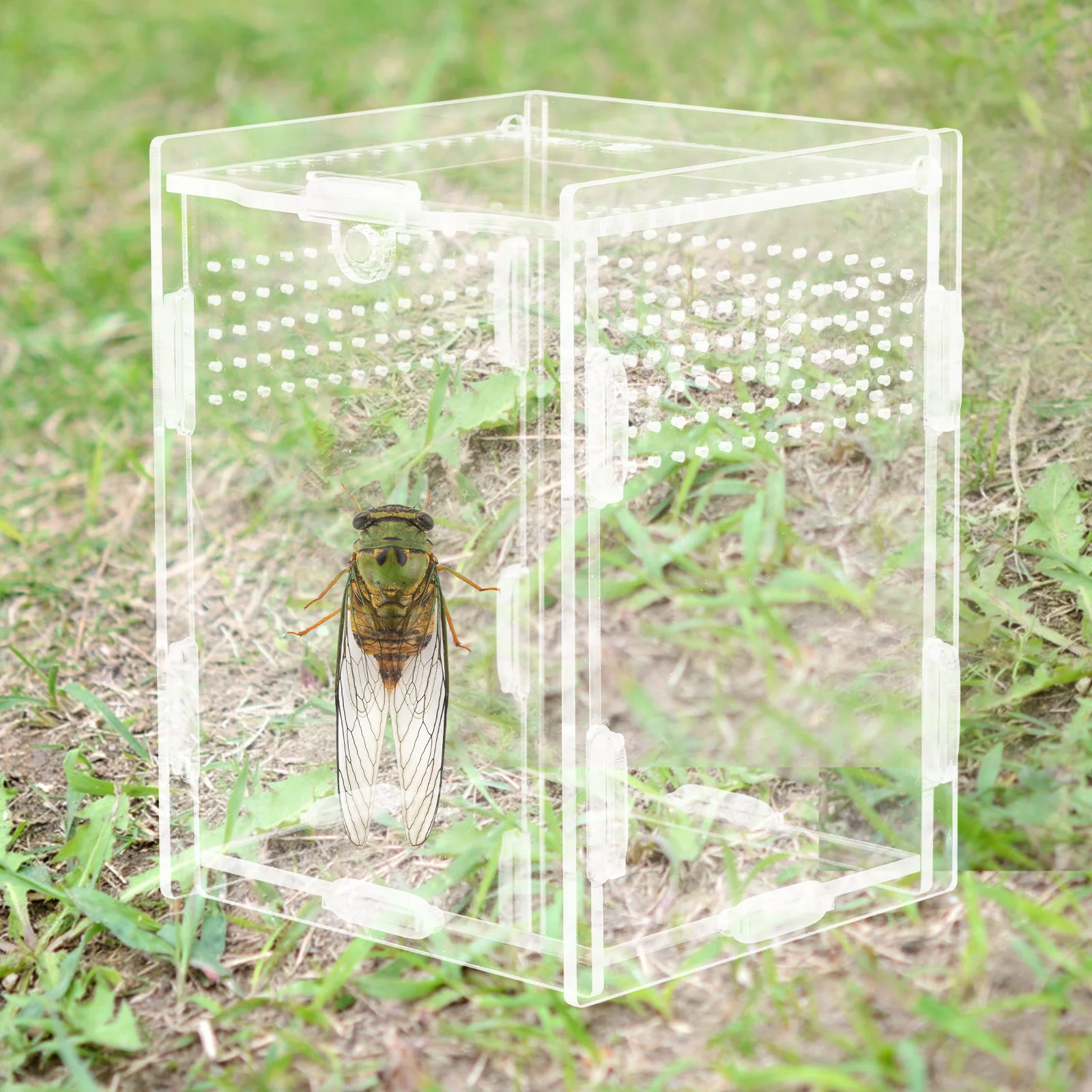 

Acrylic Reptile Feeding Box Clear Containers Small Pets Transparent Habitat Boxes Terrarium Spider Gecko Tank Durability Weather