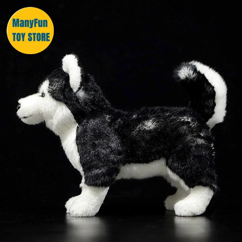 Lifelike-ハスキードッグぬいぐるみ,高忠実度の犬,着心地の良い犬,動物