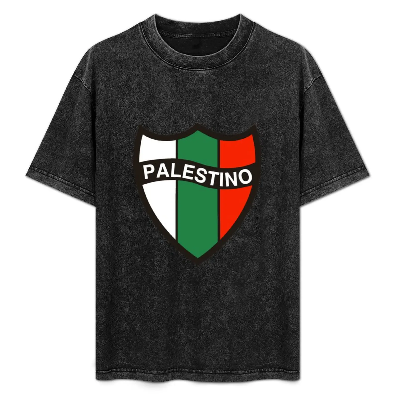 

Club Deportivo Palestino Chile T-Shirt Street Style Casual Tee Shirt