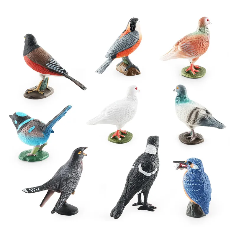 Nuova simulazione Solid Pigeon Wild Forest Zoo Animal Model figurine di uccelli educazione precoce giocattolo cognitivo animali per regalo per