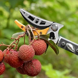 Telescopic Height Fruit Picker Gardening Tools Tree Fruit Collector Professional Picks Cutting Branch Scissors Farming Supplies