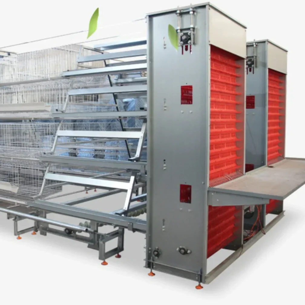 Poultry Automatic Farm Equipment Egg Collection System 4000 Eggs Fully Automated Egg Collector Machine