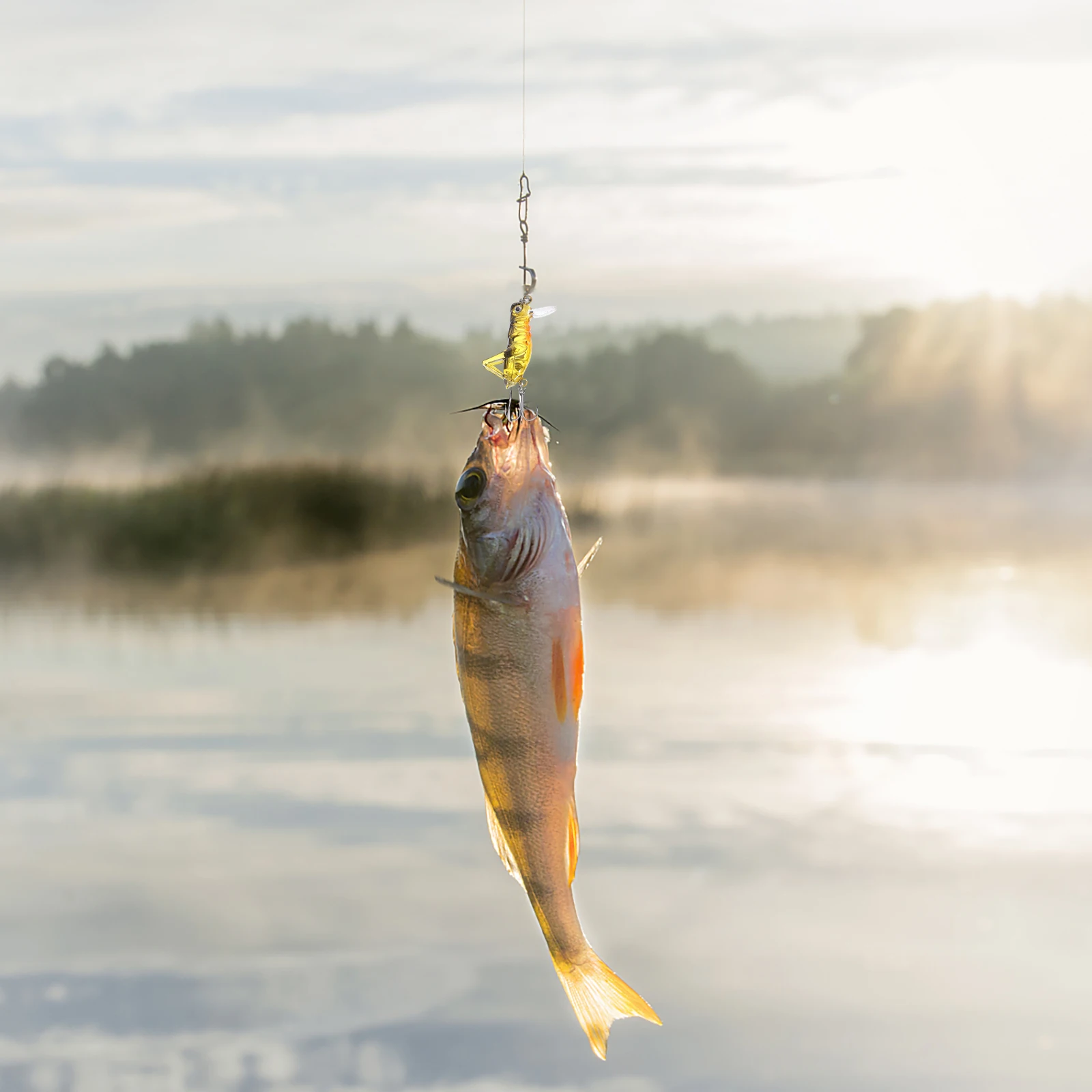 

5Pcs Grasshopper Simulation Fishing Lures 3.3cm 3G Vivid Insect Bait Lifelike Floating Hard Artificial Freshwater Fishing Tackle